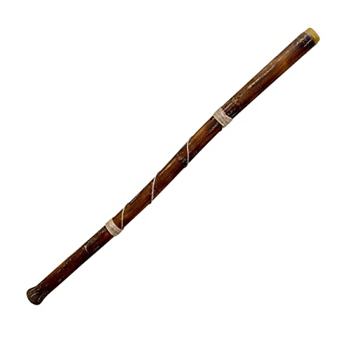Hand fired Modern Didgeridoo in Db key