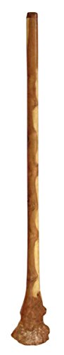 Handmade Didgeridoo Eucalyptus