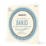 D'Addario EJ69 Phosphor Bronze 5-String Banjo Strings, Light, 9-20