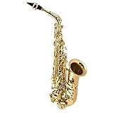 Selmer La Voic ll Alto Saxophone Outfit