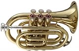 Stagg WS - TR245 Bb Pocket Trumpet with Case 6.00 x 3.00 x 8.00 inches