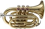 Stagg WS - TR245 Bb Pocket Trumpet with Case 6.00 x 3.00 x 8.00 inches