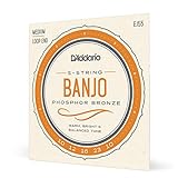 D'Addario EJ55 Banjo Strings 5 String Set - Banjo Strings Set - Phosphor Bronze, Medium, 10-23