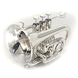 Sky Band Approved Silver Plated Bb Pocket Trumpet with Case, Cloth, Gloves and Valve Oil, Guarantee Excellent Sound