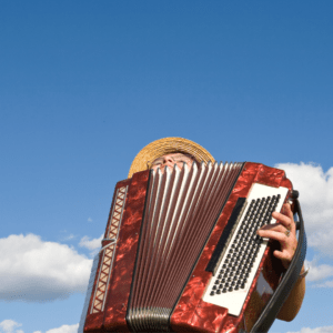 best accordion