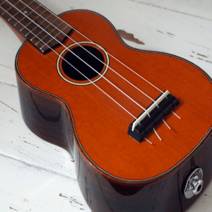 best tenor guitar