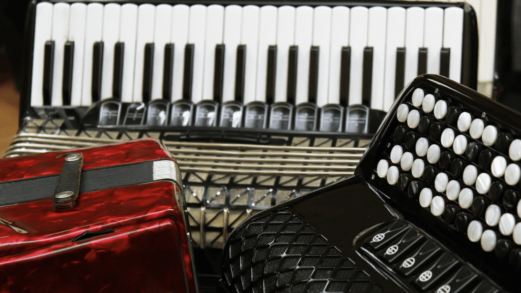 best beginner accordion