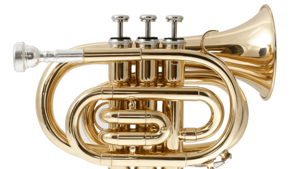 best pocket trumpets