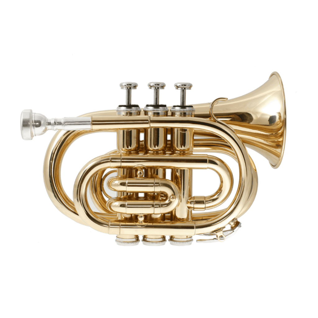 best pocket trumpets