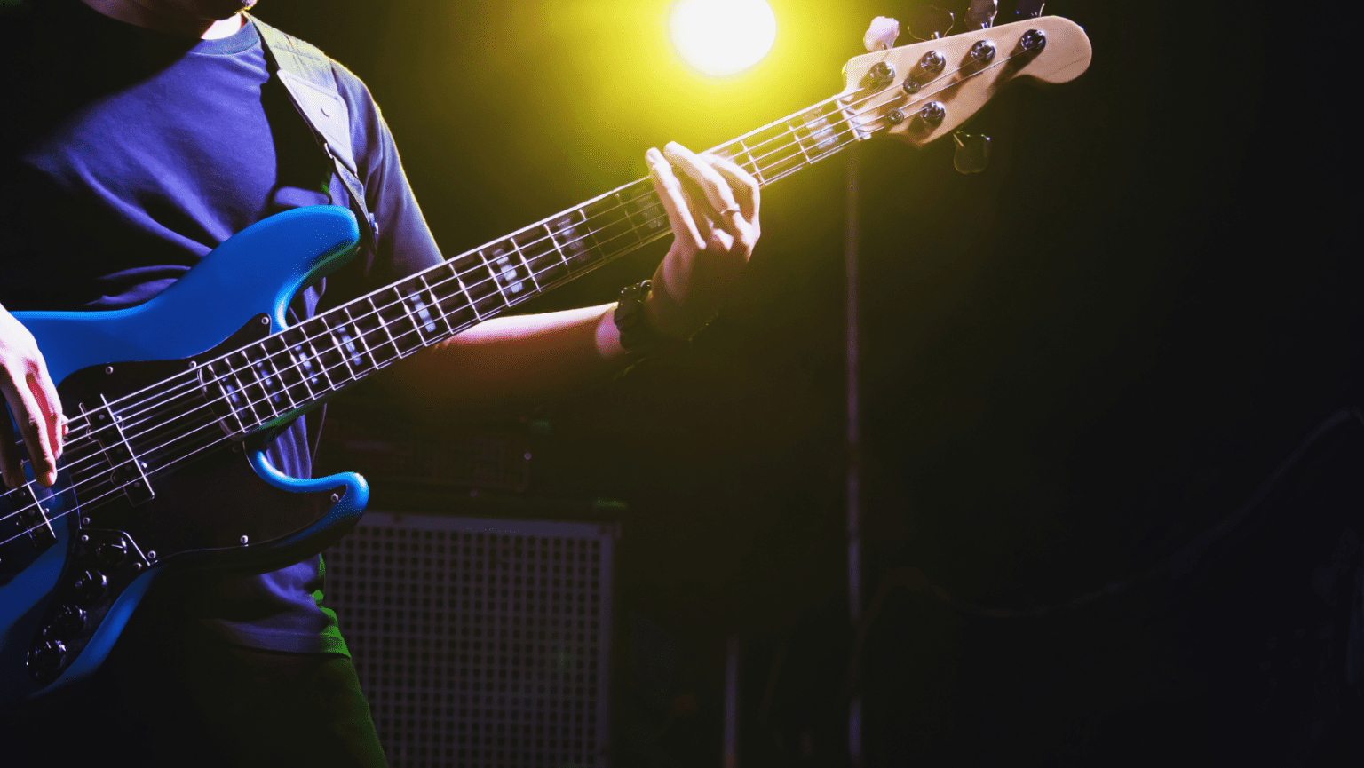 5 Best Bass Gig Bags In 2022 NextInstrument